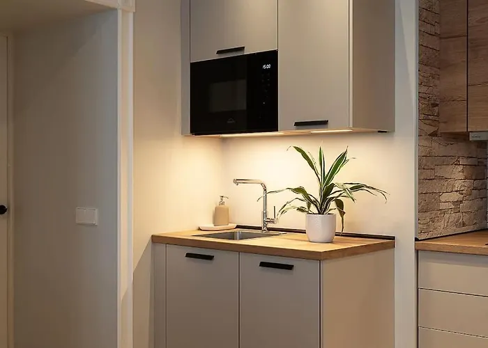 Dictumfactum Nest On Pikk アパート